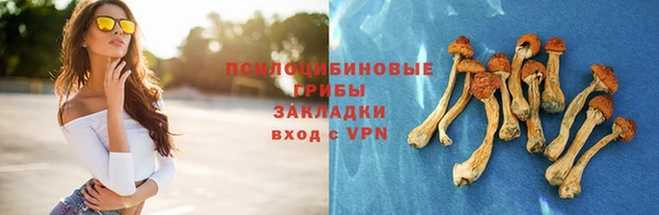 молекула духа Семилуки