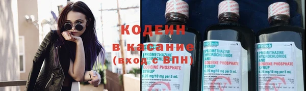 молекула духа Семилуки