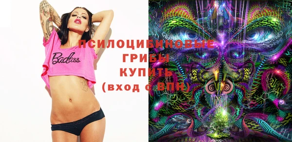 твердый Семикаракорск