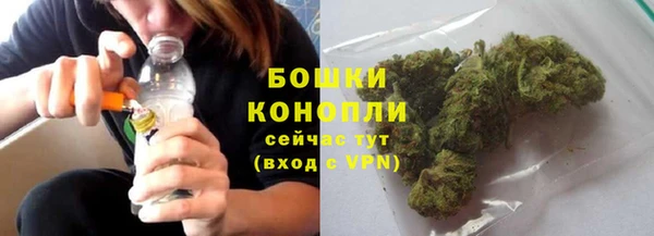 молекула духа Семилуки