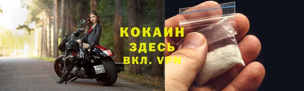 молекула духа Семилуки
