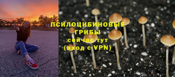 твердый Семикаракорск