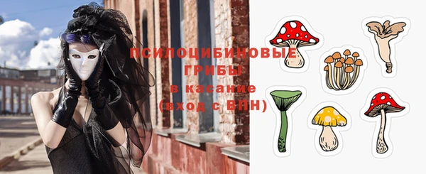 молекула духа Семилуки