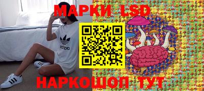гидра Краснознаменск