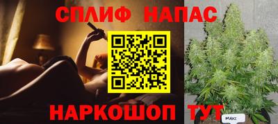 гидра Краснознаменск