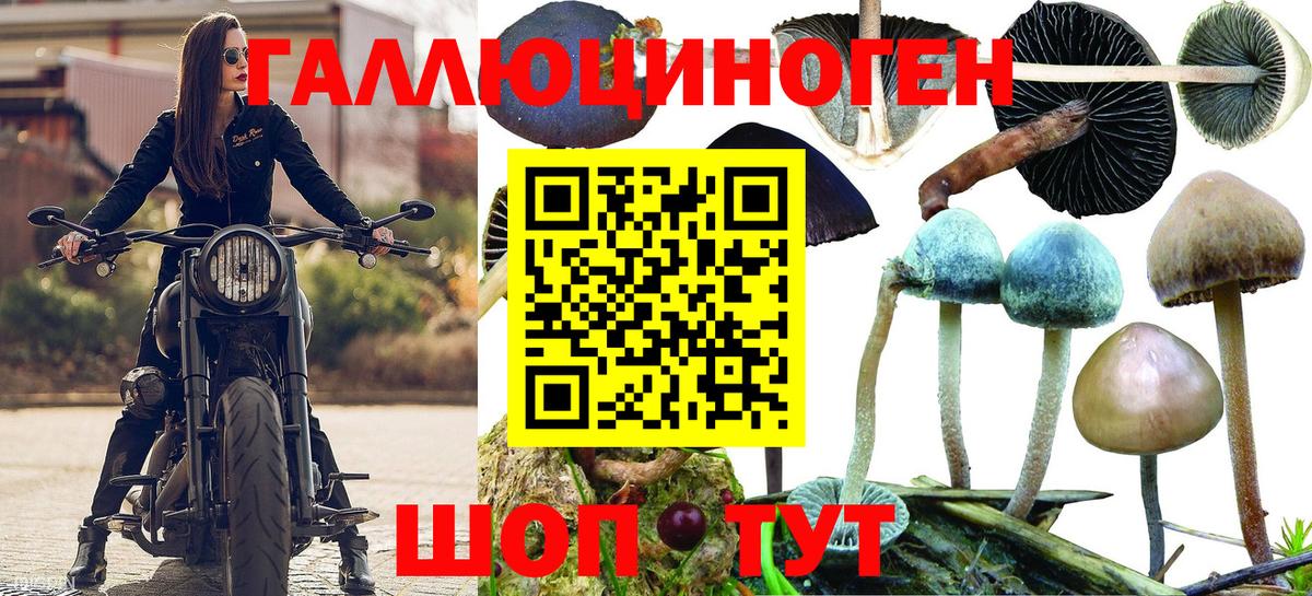 Галлюциногенные грибы мухоморы  Псилоцибиновые грибы Psilocybine cubensis  Вход с VPN  Сосновоборск 
