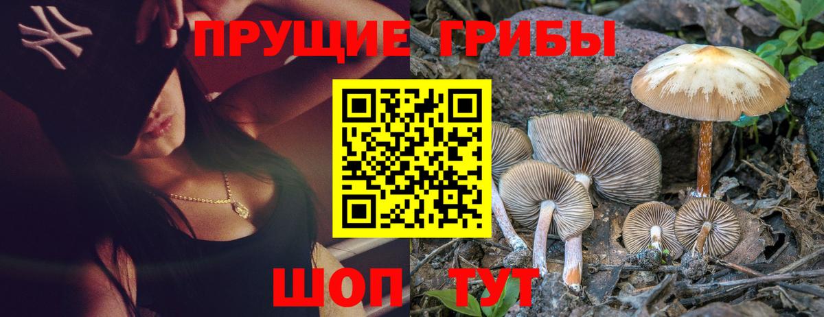 Галлюциногенные грибы ЛСД  Сосновоборск  Псилоцибиновые грибы Psilocybine cubensis 