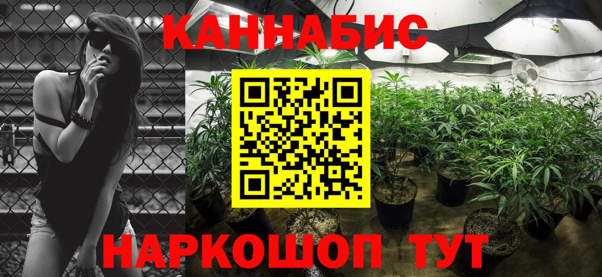 Каннабис OG Kush  Вход с VPN  Канабис конопля  Сосновоборск  Канабис White Widow 
